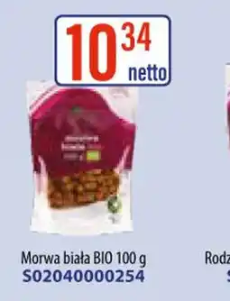 AT Morwa biała BIO oferta