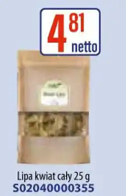 AT Lipa kwiat cały oferta