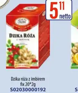 AT Dzika róża z imbirem oferta