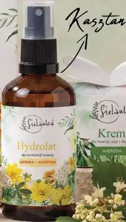 Hebe Sielanka Hydrolat do tonizacji twarzy Arnika + Kasztan oferta