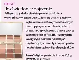 Hebe Paese Selfglow, paleta cieni nude oferta