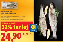 Lidl Pstrąg tęczowy patroszony oferta