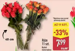 ALDI Róże 11 szt. Bukiet różne kolory oferta