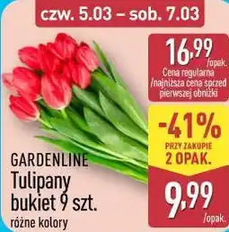 ALDI Gardenline Tulipany bukiet 9 szt oferta
