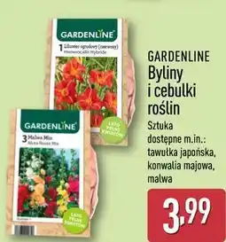 ALDI GARDENLINE Byliny i cebulki roślin oferta