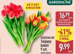 ALDI GARDENLINE Tulipany bukiet 9 szt. różne kolory oferta