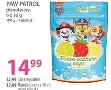 Hebe PAW PATROL pianotwory oferta