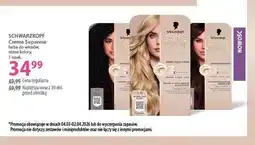 Hebe Schwarzkopf Creme, farba do włosów oferta