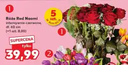 Kaufland Róże Red Naomi oferta