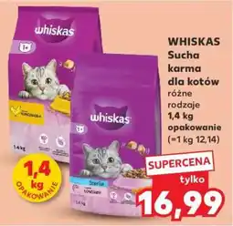 Kaufland WHISKAS Sucha karma dla kotów oferta