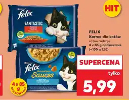 Kaufland Karma dla kota Felix oferta