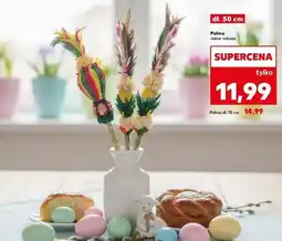 Kaufland Palma (różne rodzaje) oferta
