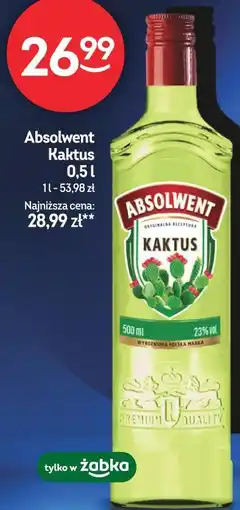 Żabka Absolwent Kaktus oferta