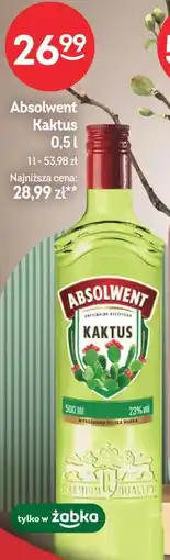 Żabka Absolwent Kaktus oferta