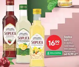 Żabka Soplica (różne rodzaje) oferta