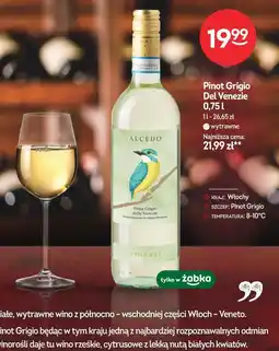 Żabka Wino Pinot Grigio Del Venezie oferta
