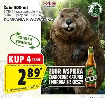 Piwo Żubr