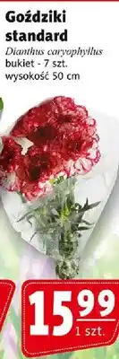 Prim Market Goździki standard oferta