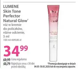 Hebe Skin Tone Perfector Natural Glow róż w kremie do policzków, różne odcienie oferta