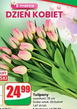 Dino Bukiet tulipanów -15 szt., 35 cm oferta