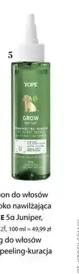 Hebe Mikropeeling-kuracja do włosów Grow My Hair oferta