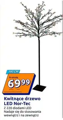 Action Kwitnące drzewo LED oferta