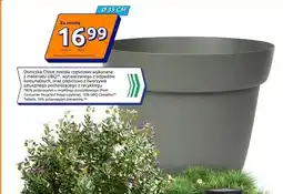 Action Doniczka Chloe różne kolory Ø 35cm oferta