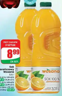 Dino Sok pomarańczowy oferta