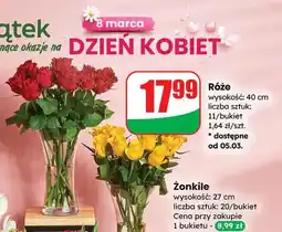 Dino Bukiet róż 11 szt., 40 cm oferta