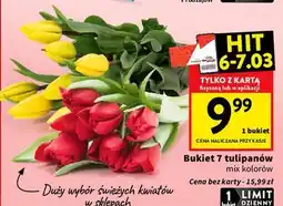Intermarche Tulipany oferta