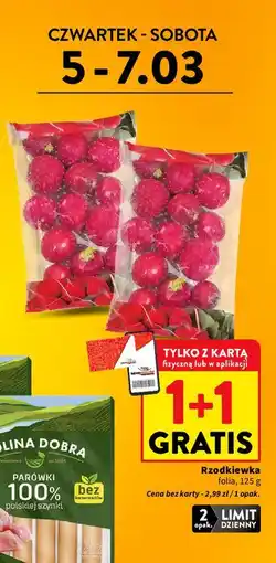 Intermarche Rzodkiewka oferta