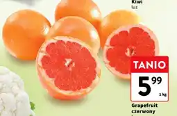 Intermarche Grejpfruty czerwone oferta