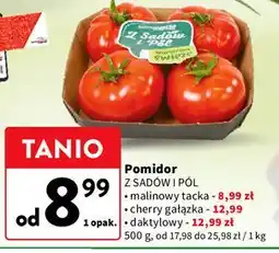 Intermarche Pomidory daktylowe Z Sadów I Pól oferta