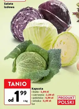 Intermarche Kapusta włoska polska oferta