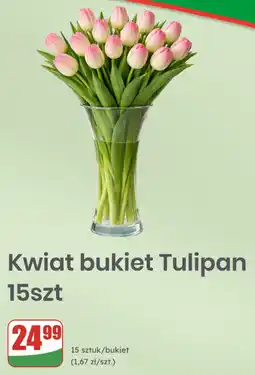 Dino Kwiat bukiet Tulipan 15szt oferta