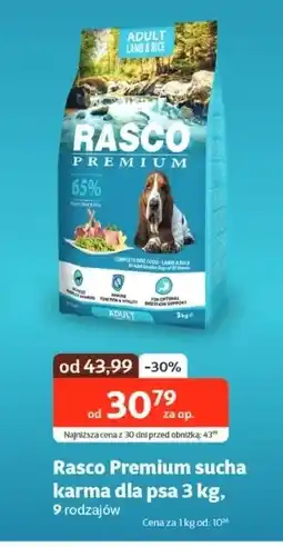 Kakadu Karma dla psa Rasco oferta