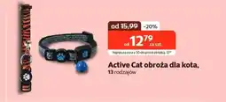 Kakadu Obroża dla kota Active Cat oferta