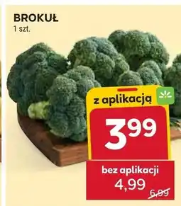 Stokrotka Brokuł oferta
