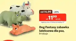 Kakadu Zabawka dla psa Dog Fantasy oferta