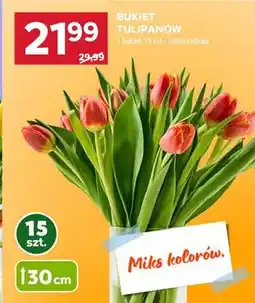 Stokrotka Bukiet tulipanów 15 szt oferta