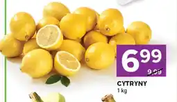 Stokrotka Cytryny oferta