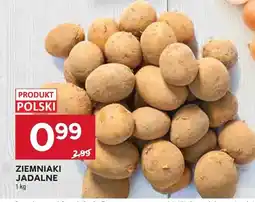 Stokrotka Ziemniaki jadalne oferta
