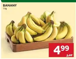 Stokrotka Banany oferta