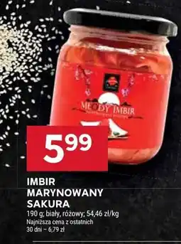 Stokrotka Imbir marynowany biały, różowy oferta