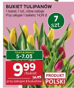 Stokrotka Bukiet tulipanów oferta