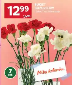 Stokrotka Bukiet goździków 7szt różne rodzaje oferta