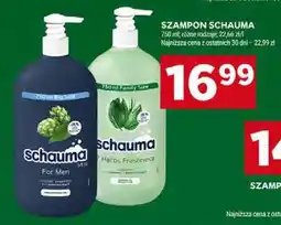 Stokrotka Szampon Schauma oferta