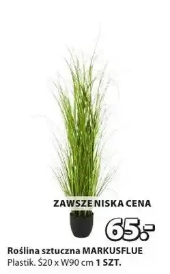JYSK Roślina sztuczna MARKUSFLUE oferta