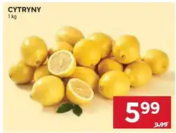 Stokrotka Cytryny oferta