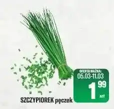 TomiMarkt Szczypiorek pęczek oferta